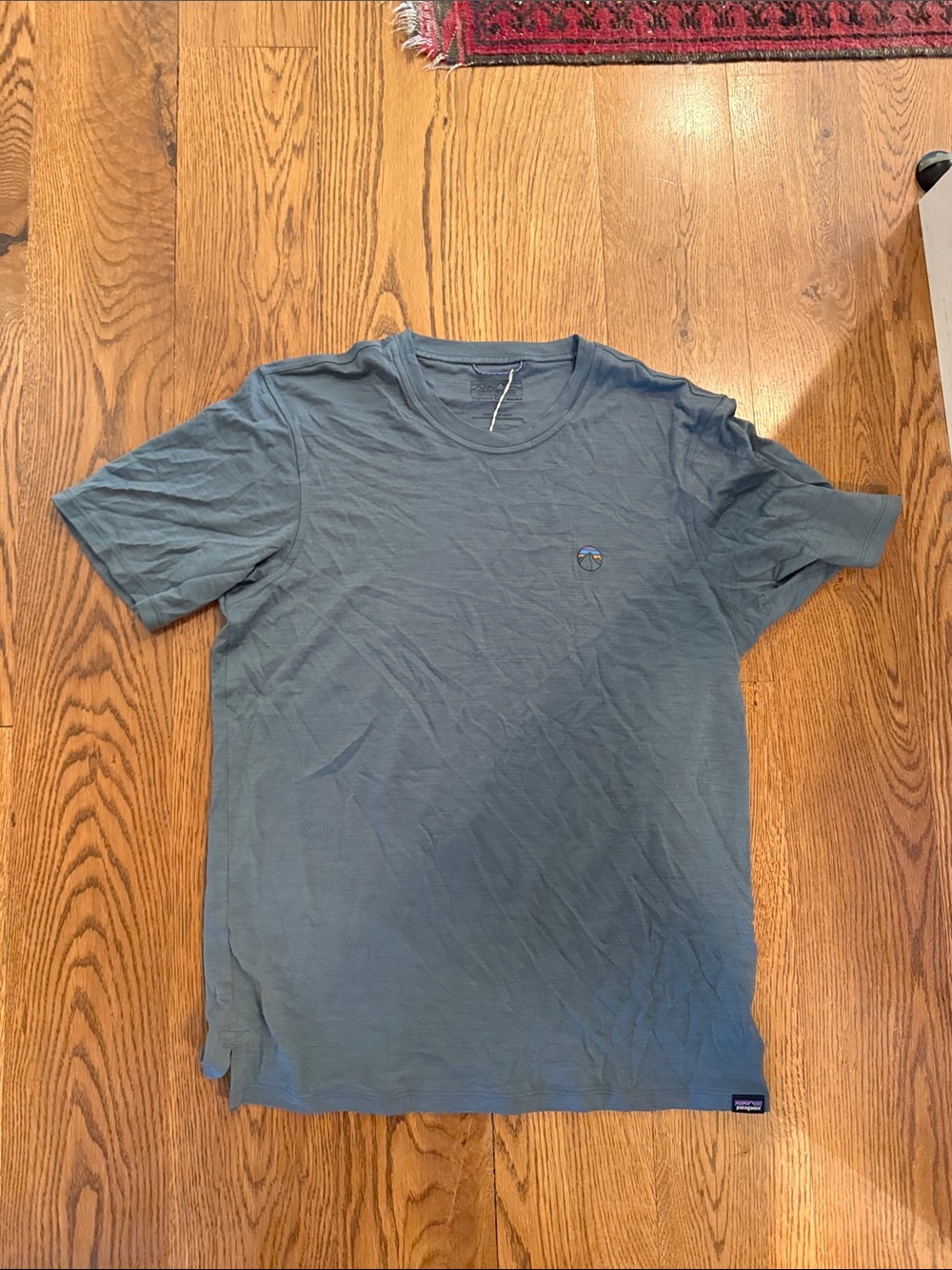 Patagonia Men's Crew Tee in Slate Gray-Blue